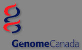Genome Canada Art Gallery - Galerie d'art de Génome Canada