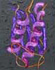 Alpha/Beta Proteome 2 layers #2 - Proteome Alpha/Beta 2 couches #2
