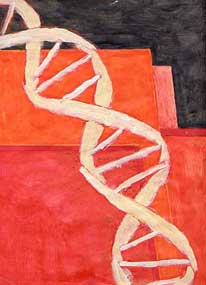 Genomic composition #13 — Composition génomique #13