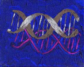 Genomic composition #24 — Composition génomique #24