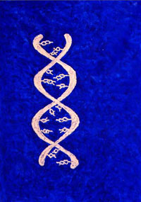 Genomic spirit of Klein #2 — Esprit génomique de Klein #2
