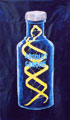 Absolut Genome #1