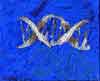 Genomic composition #23 - Composition génomique #23