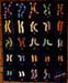 Colored human chromosomes #1 - Chromosomes humains couleurs #1