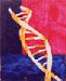 Genomic composition #29 — Composition génomique #29