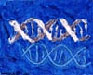 Genomic composition #35 - Composition génomique #35