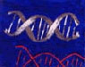 Genomic composition #36 - Composition génomique #36