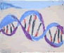 Genomic composition #61 - Composition génomique #61