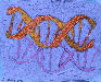 Genomic composition #77 - Composition génomique #77
