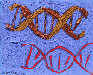 Genomic composition #78 - Composition génomique #78