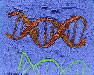 Genomic composition #79 - Composition génomique #79