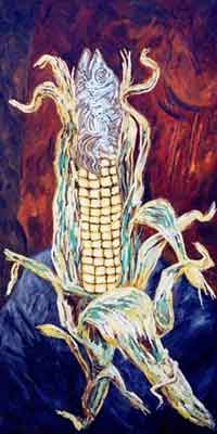 Transgenic corn - Maïs transgénique