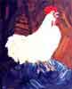 3 legged transgenic chicken #1 - Poulet transgénique à 3 pattes #1