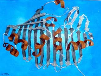 Beta clam Proteome - brilliant blue #1