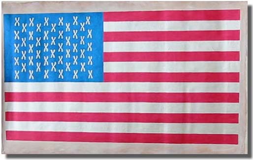 In search of life, liberty, happiness - Flag #1 - &Agrave; la recherche de la vie, la libert&eacute;, le bonheur - Drapeau #1