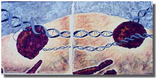 Diptych : Cellular landscape - Diptyque : Paysage cellulaire