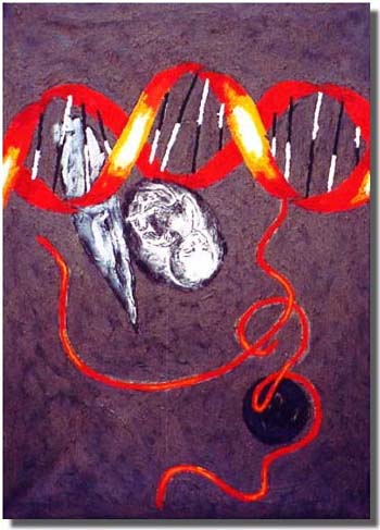 Stem cell orange-red - Cellule souche orange-rouge