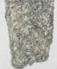 DNA on gold - ADN sur or