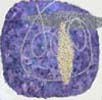 Neolithic DNA #8 - ADN n&eacute;olithique #8