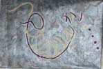 DNA strand #22 - Noeud ADN #22