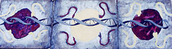 Triptych : Spermatos #1-#2-#3 - Triptyque : Spermatos #1-#2-#3