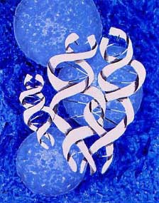 DNA Family with cells #1 - Famille ADN avec cellules #1