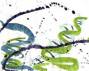 Genomic spirit of Jackson P. #84 - Esprit g&eacute;nomique de Jackson P. #84
