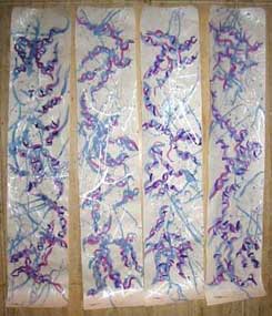 Genomic spirit of Jackson P. #100-101-102-103 - Esprit g&eacute;nomique de Jackson P. #100-101-102-103