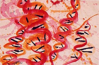 Genomic spirit of Jackson P. #214 - Esprit g&eacute;nomique de Jackson P. #214