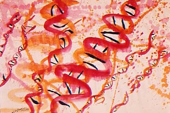 Genomic spirit of Jackson P. #215 - Esprit g&eacute;nomique de Jackson P. #215