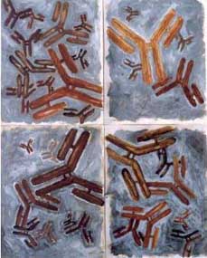 Antibody #1 to #4 - Anticorps #1 &agrave; #4