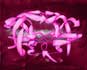 Beta composition in fuschia  Composition Beta fuschia