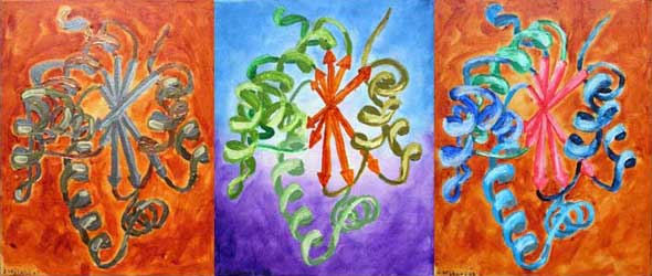 Open twisted Alpha/Beta structure #4,#5,#6 - Structure Alpha/Beta ouverte torsad&eacute;e #4,#5,#6