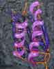 Alpha/Beta Proteome 2 layers #3 - Proteome Alpha/Beta 2 couches #3